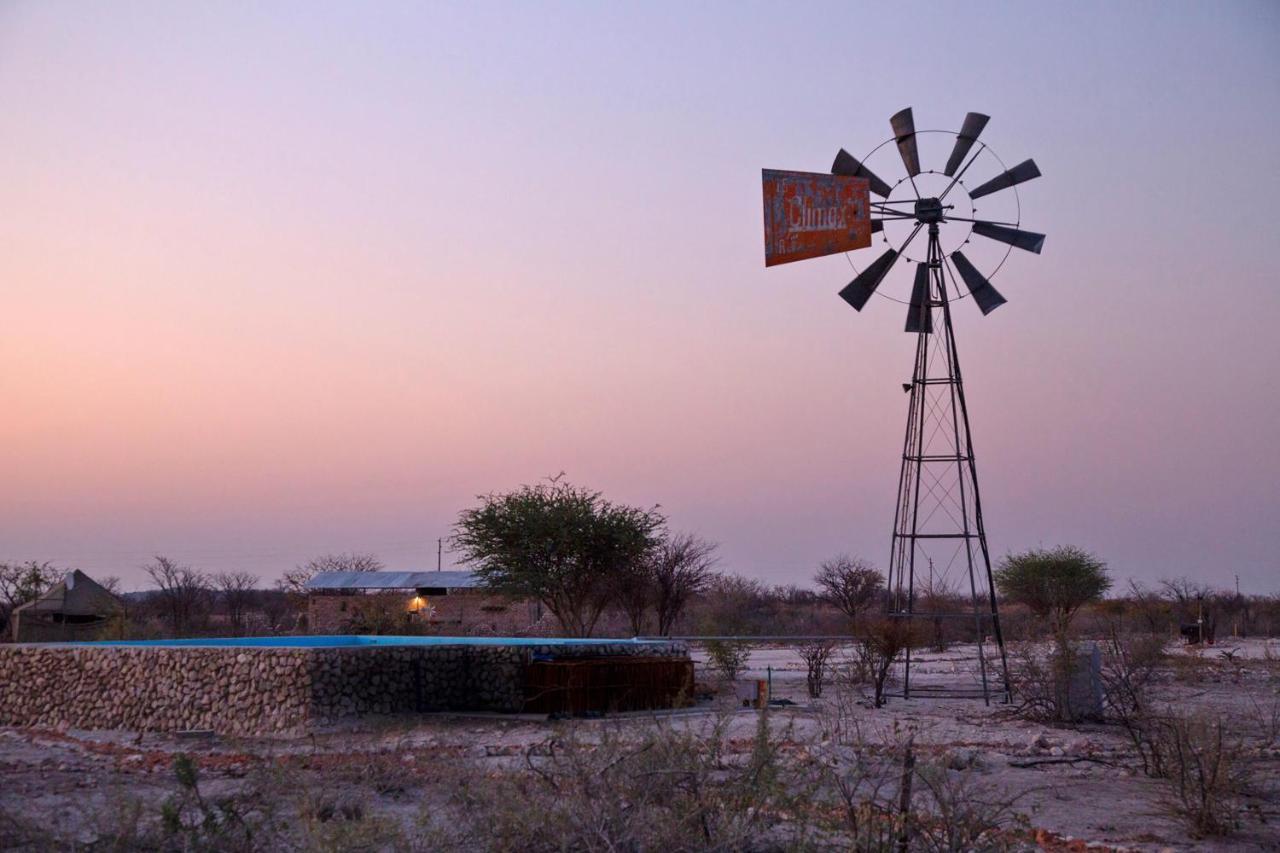 Etosha Trading Post Campsite Okaukuejo Ngoại thất bức ảnh